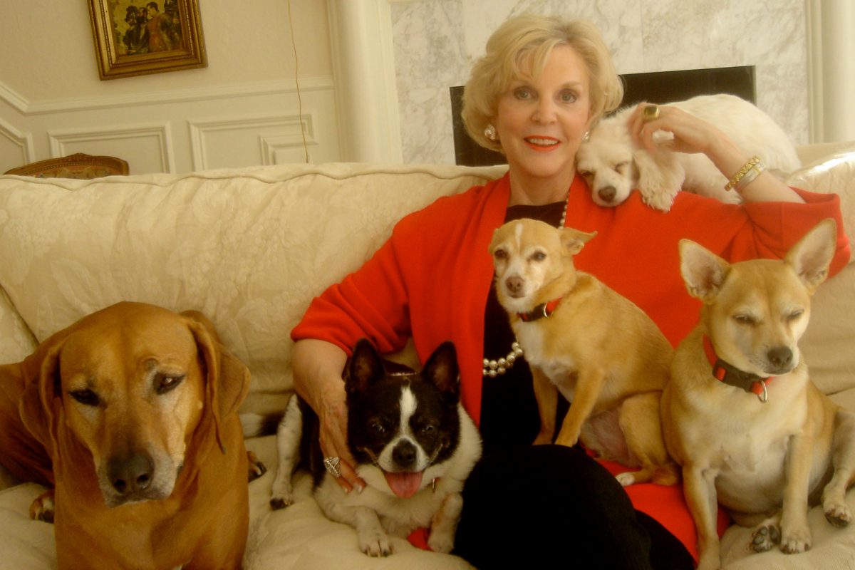 Visiting a dog psychic