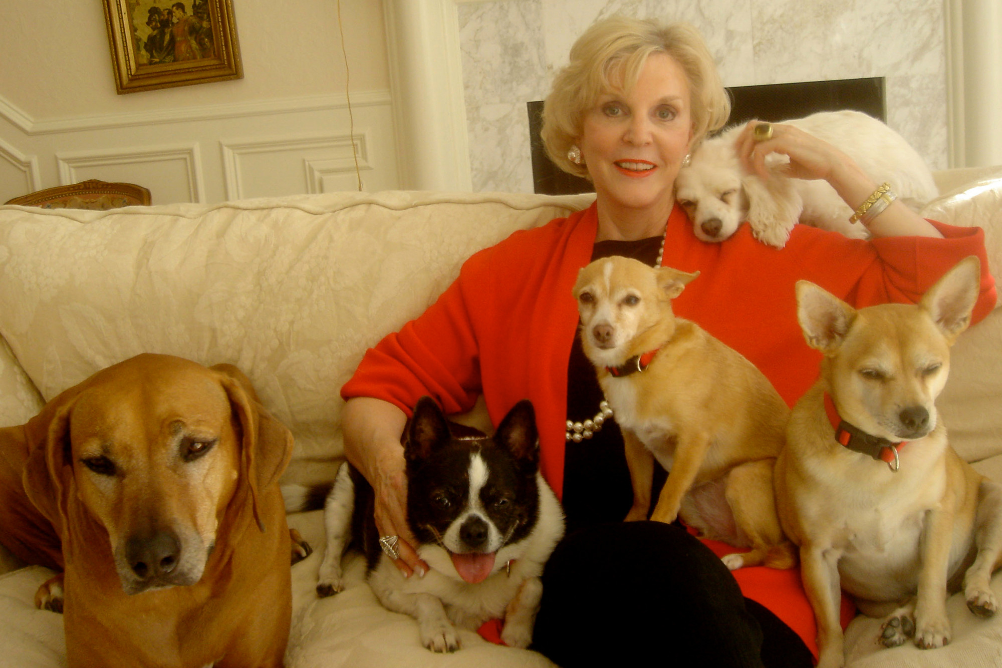 Visiting a dog psychic